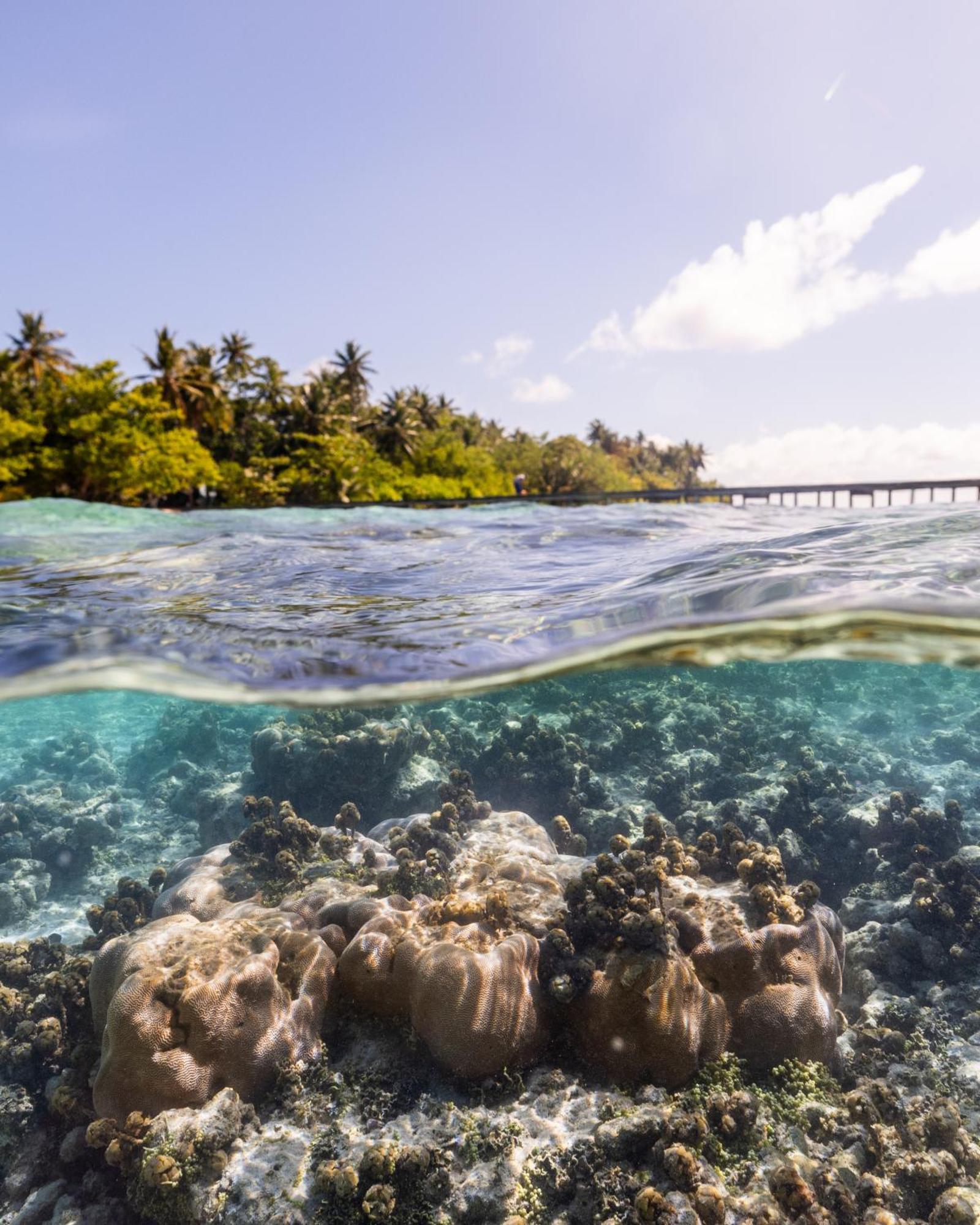 Kirulhiya Maldives Hotel Omadhoo ภายนอก รูปภาพ